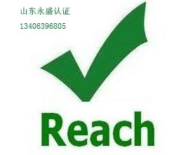 Reach認證